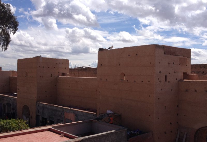 Marrakech cigognes dans la médina