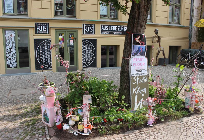 Berlin rue Oderbergerstraße massifs fleuris