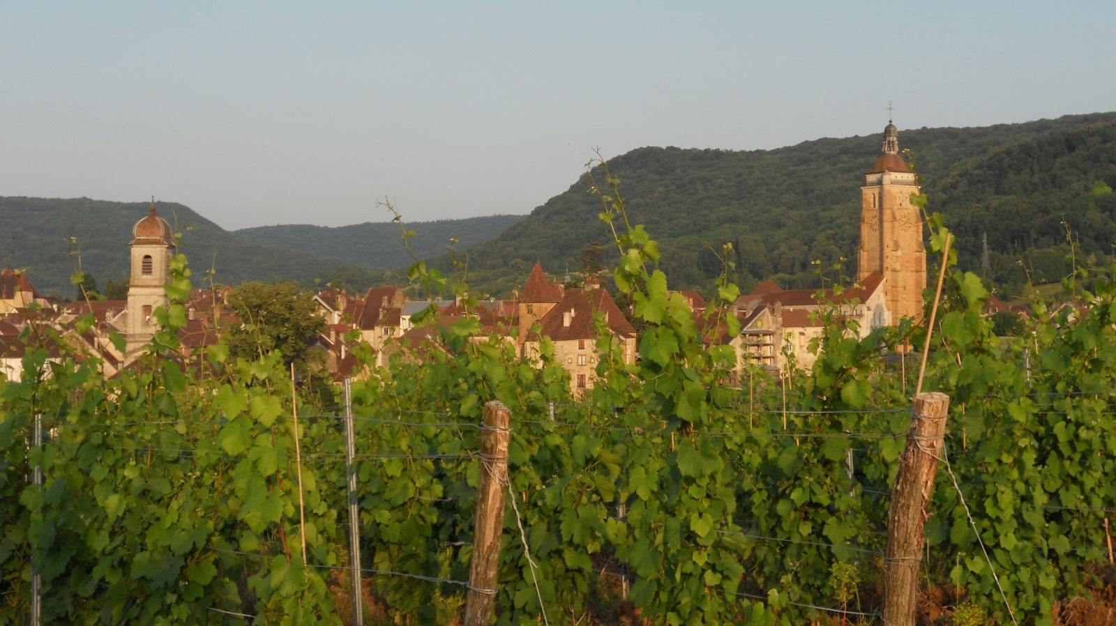 Arbois, vignobles - photo OT Arbois