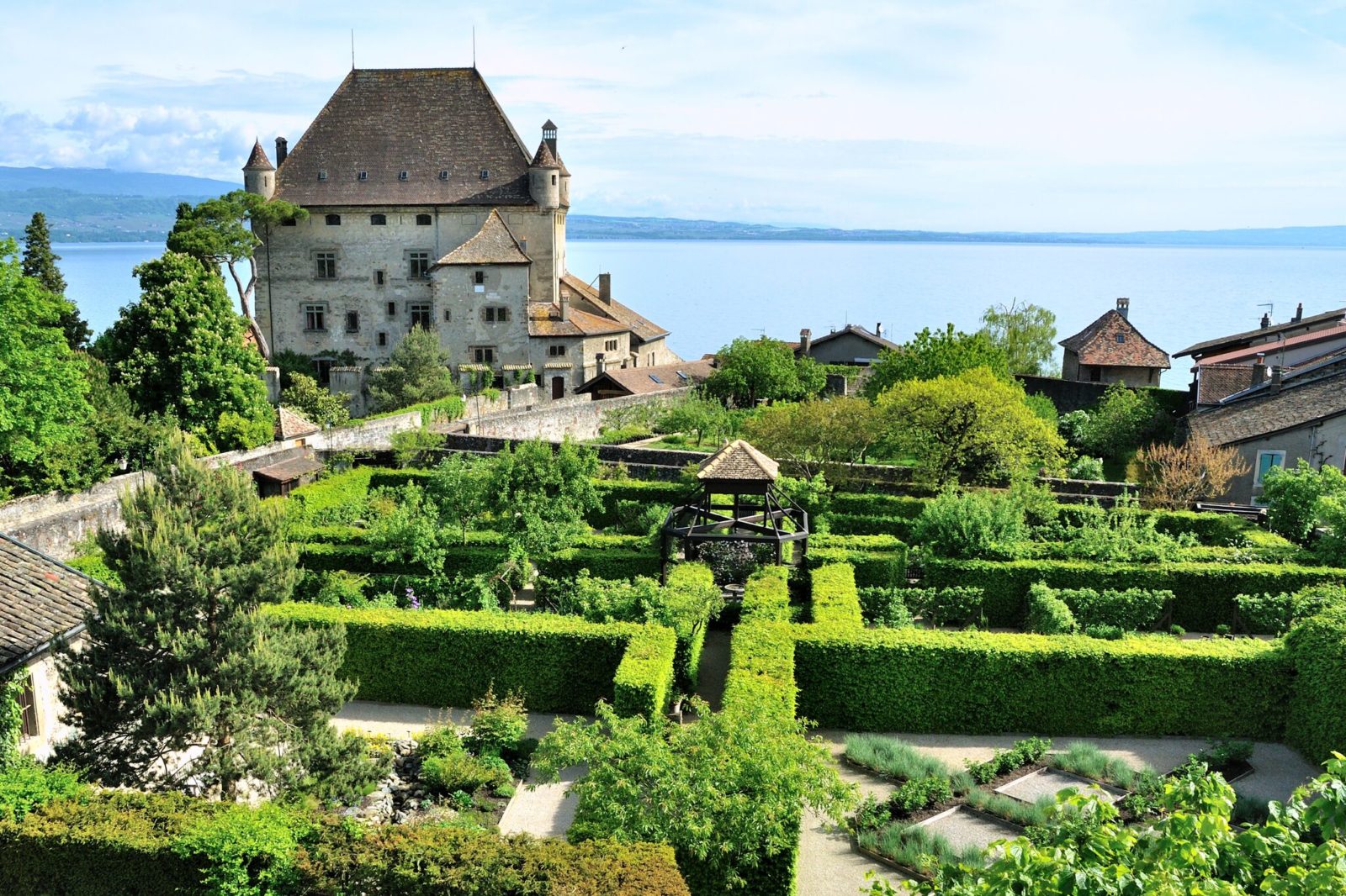  Yvoire nouvelle rose jardin des Cinq Sens