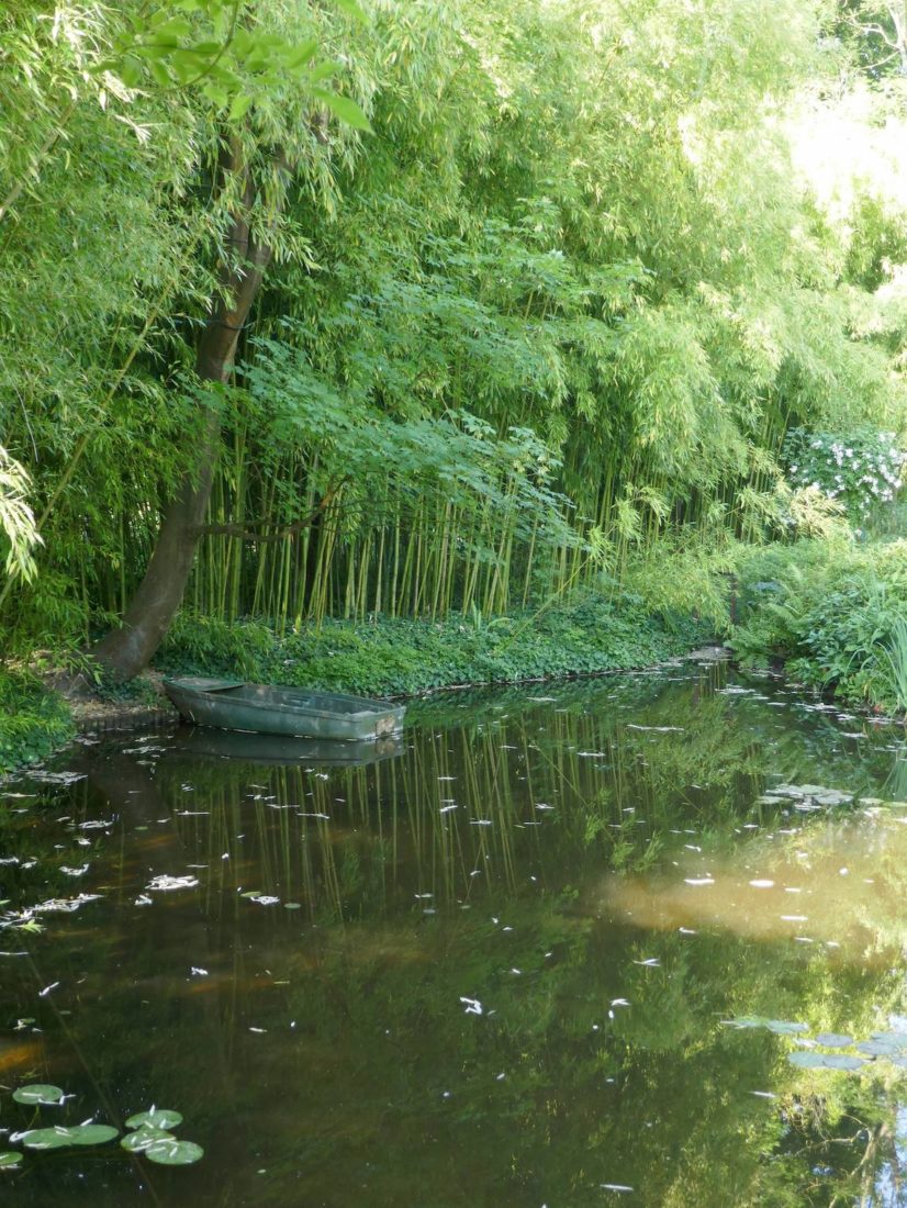 Bois de bambous au jardin  de Claude Monet à Giverny