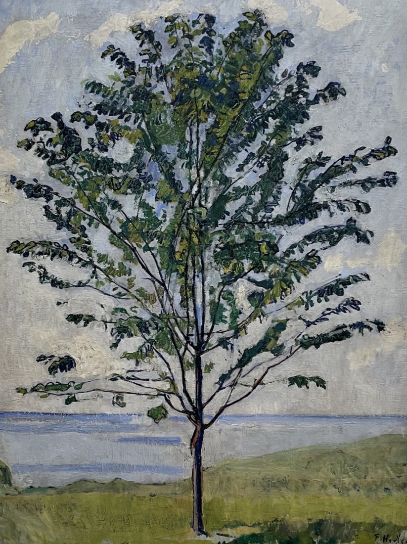 Ferdinand Hodler Petit arbre 