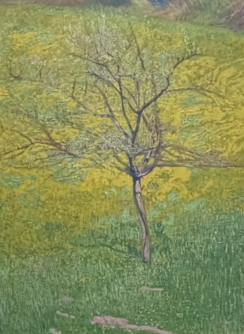 Cuno Amiet (1868-1961) Pré jaune avec arbre